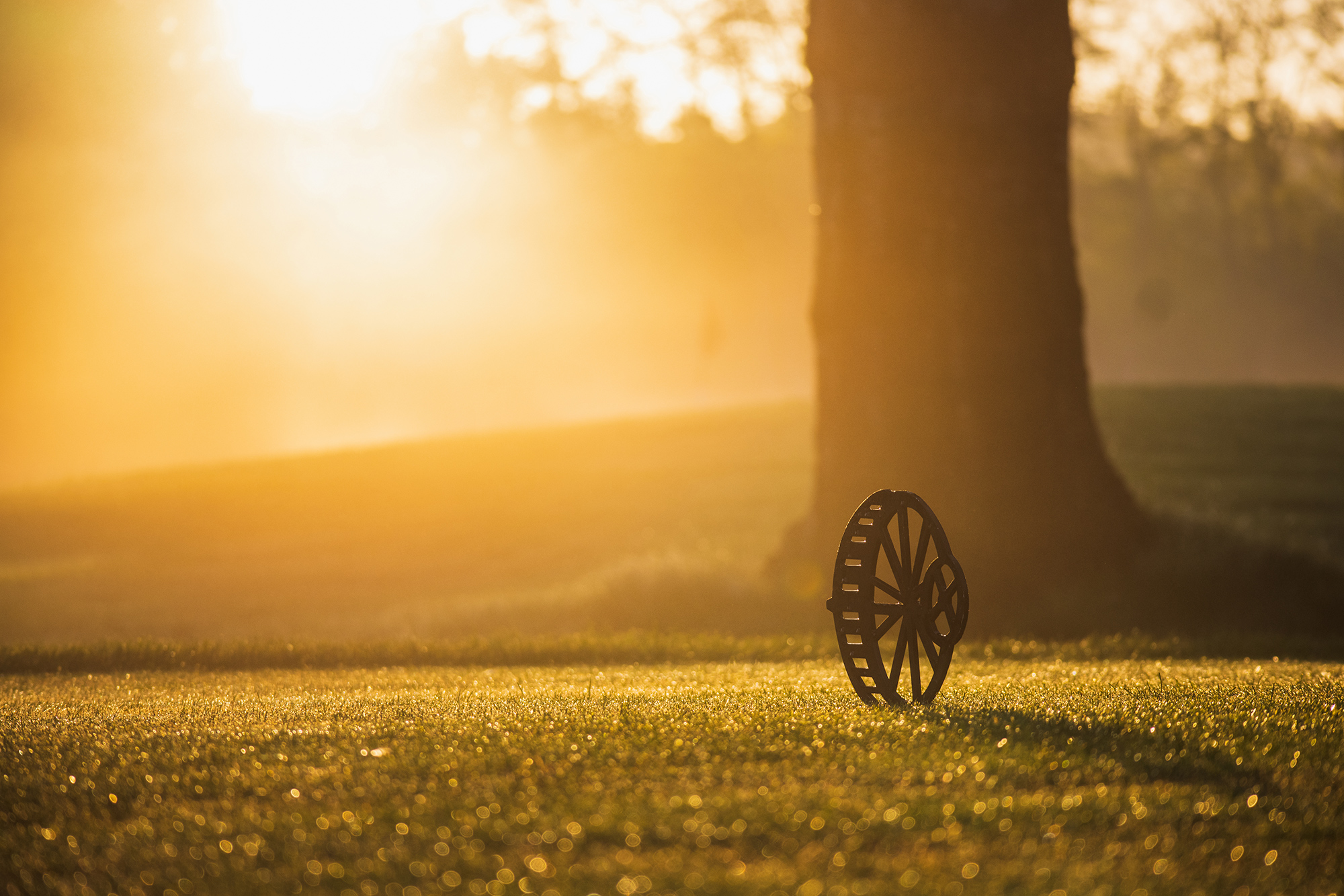 Point Grey | Point Grey is defined by those who belong to our club.